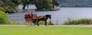 Ring of kerry tours, killarney taxi