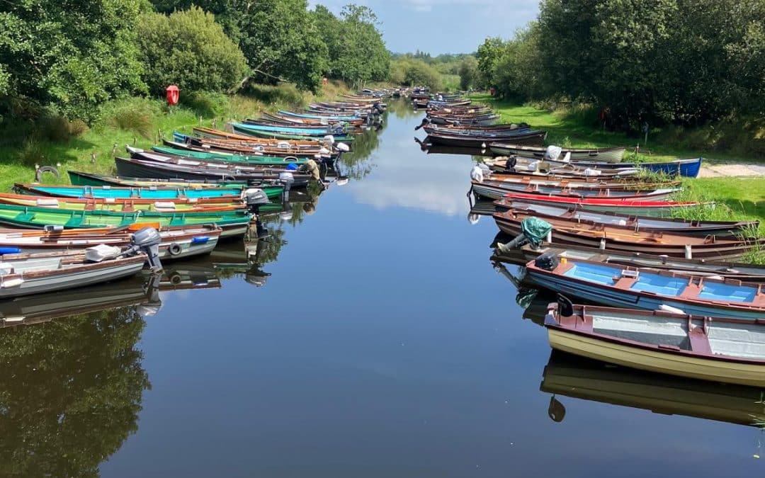 A Quick Trip Around Killarney