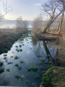 “Small clear stream with greenery flowing toward a wooden footbridge and lake beyond.”