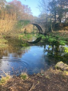 “Old stone arch bridge crossing a clear, reflective river surrounded by forest trees.”