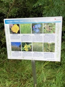 a sign about killorglins nature