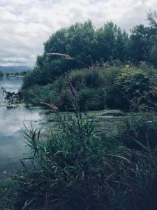 a foggy view of a small island surrounded by water